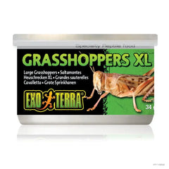 Exo Terra Wild Grasshoppers Xl 34g-1