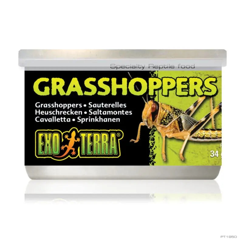 Exo Terra Wild Male Grasshoppers Small 34g-1