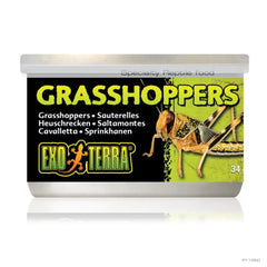 Exo Terra Wild Male Grasshoppers Small 34g-1