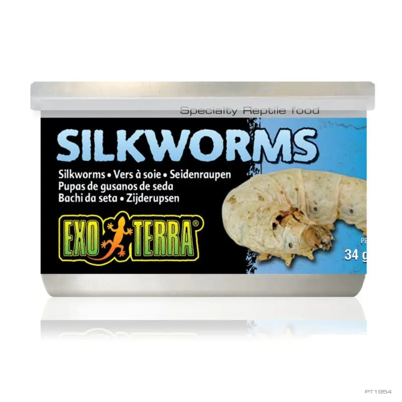 Exo Terra Wild Silkworms Medium 34g-1