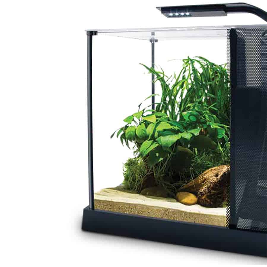 Fluval Betta Premium Aquarium Kit 10l-2
