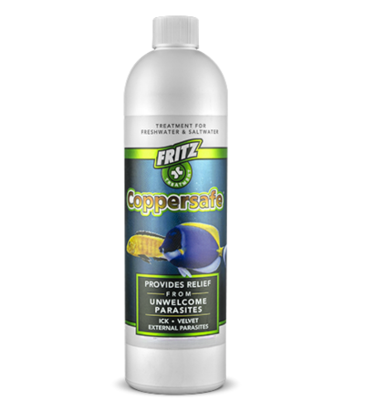 Fritz Coppersafe 473ml/16oz-1