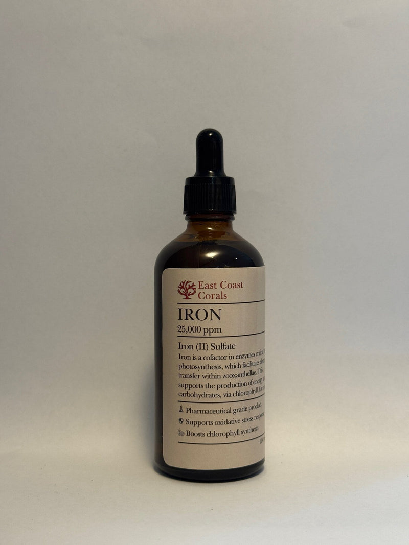 East Coast Corals Iron-1
