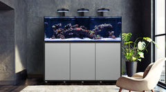 Waterbox Infinia-1