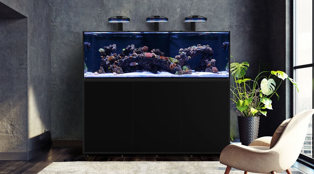 Waterbox Infinia