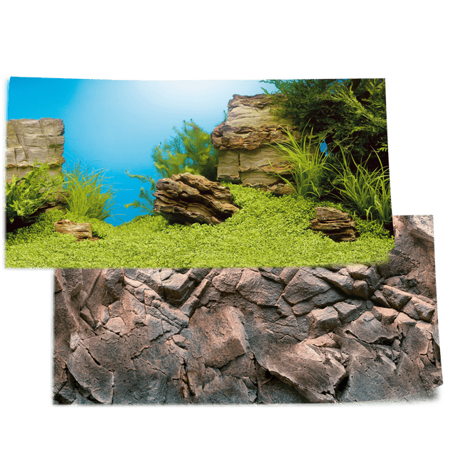 Juwel Background Poster RockPlant Scene 100 x 50cm