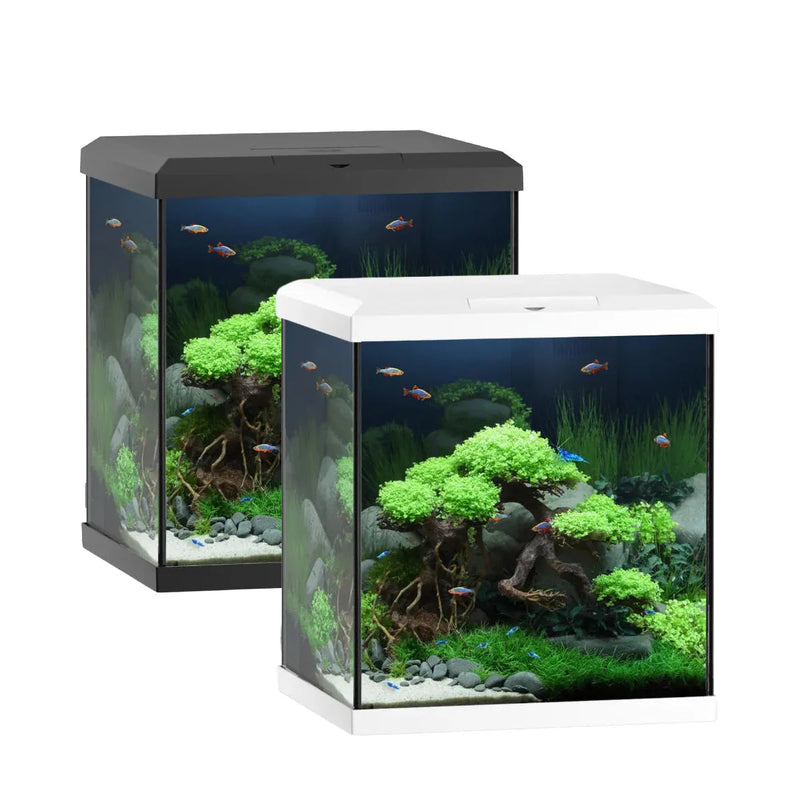 Juwel Vio Cube Aquarium-3