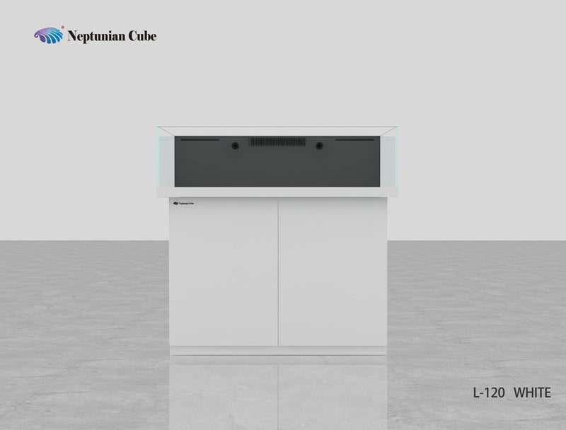 Neptunian Cube Lagoon Series-6