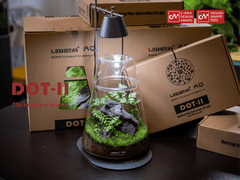 DOT-II Terrarium Set-4