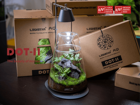 DOT-II Terrarium Set-4
