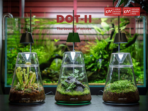 DOT-II Terrarium Set-3