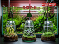 DOT-II Terrarium Set-3