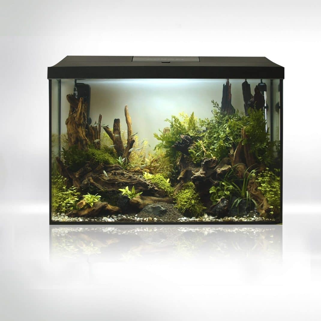 Aquael Leddy Day & Night 60XL Black Aquarium-2