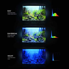 Aquael Leddy Day & Night 60XL Black Aquarium-3