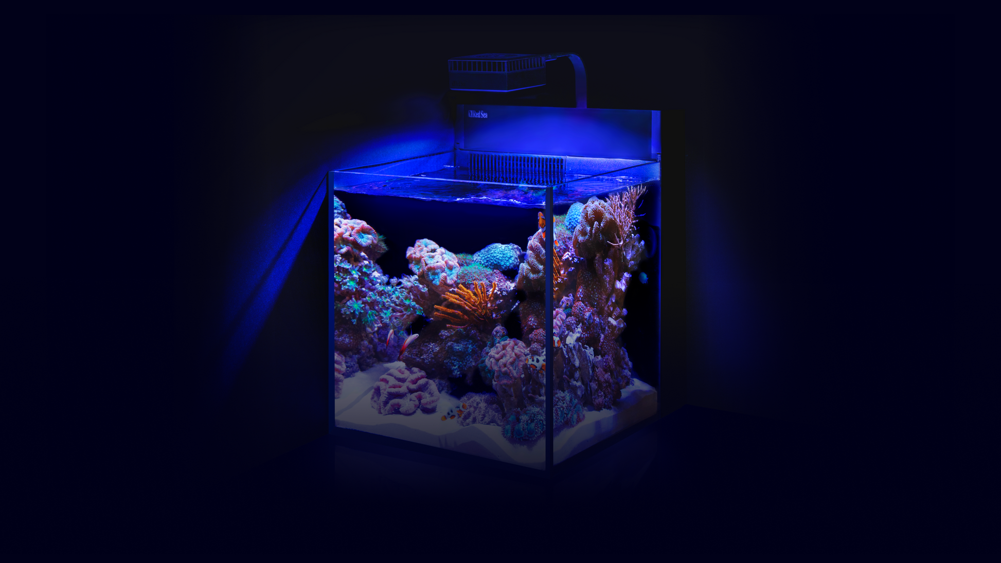 Red Sea MAX NANO G2 XL-1