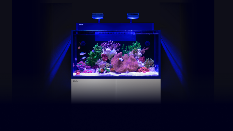 Red Sea Max Nano XXL G2-1