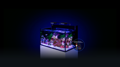 Red Sea Max Nano XXL G2-2