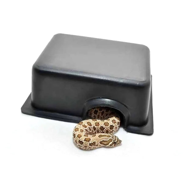 Habistat Plastic Hide - Extra Small-1