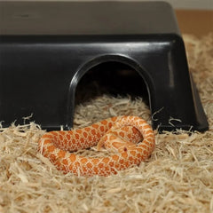 Habistat Plastic Hide - Large-1