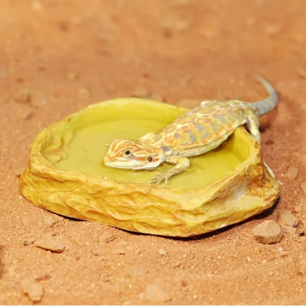 Habistat Sandstone Feeding Dish - Medium-1