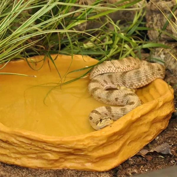 Habistat Sandstone Water Dish - Extra Large-1