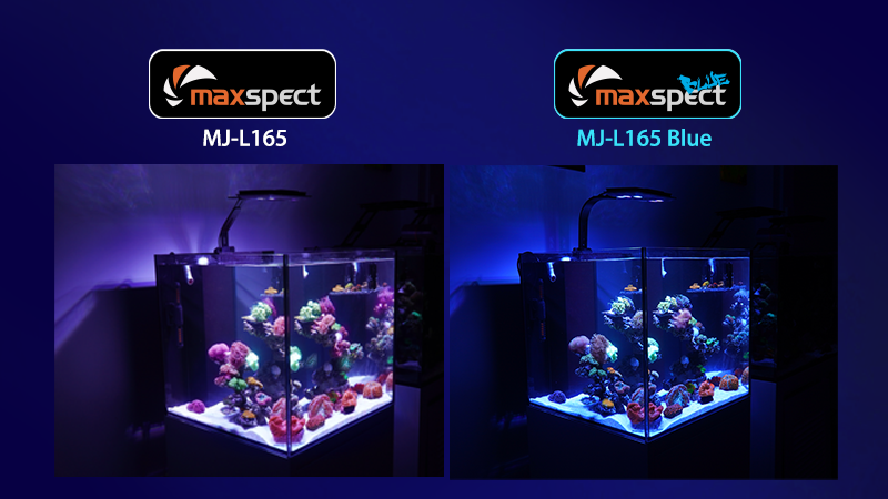 Maxspect Jump LED MJ-L165 "BLUE"