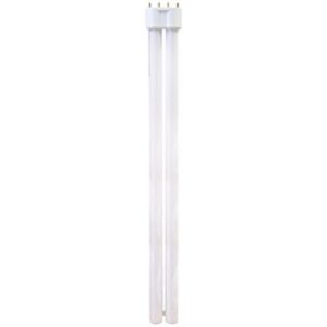 Marine Blue 11w PL Lamp-1