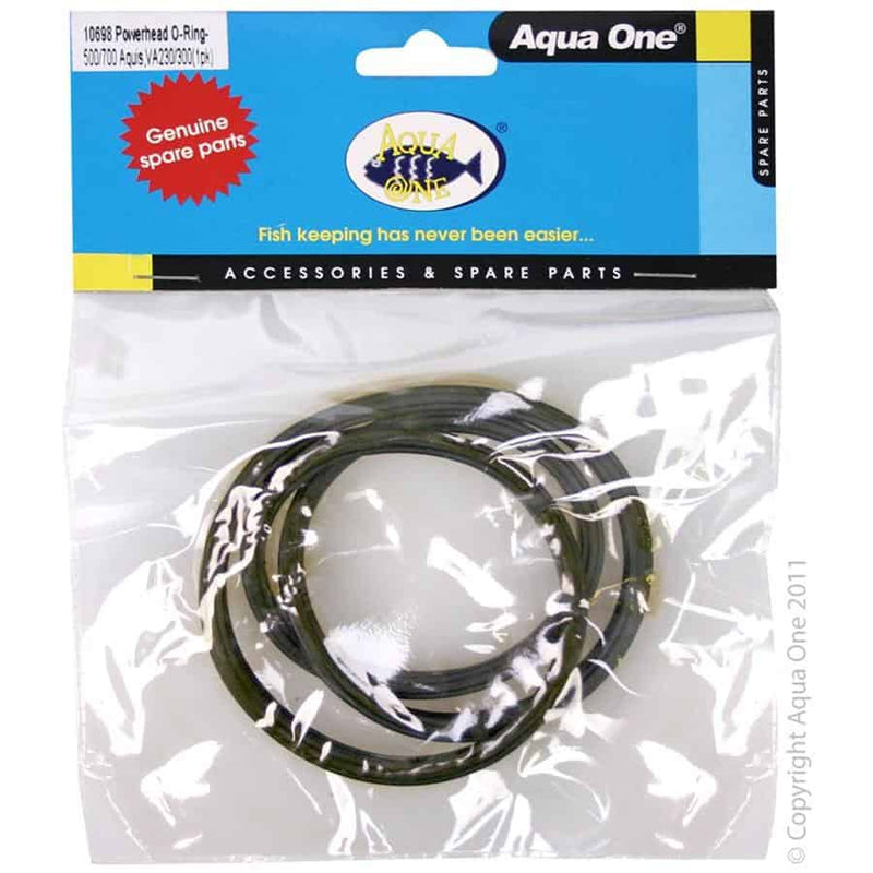 O Ring for Pumphead - Aquis 500 700 550 750 Nautilus 600 800-1
