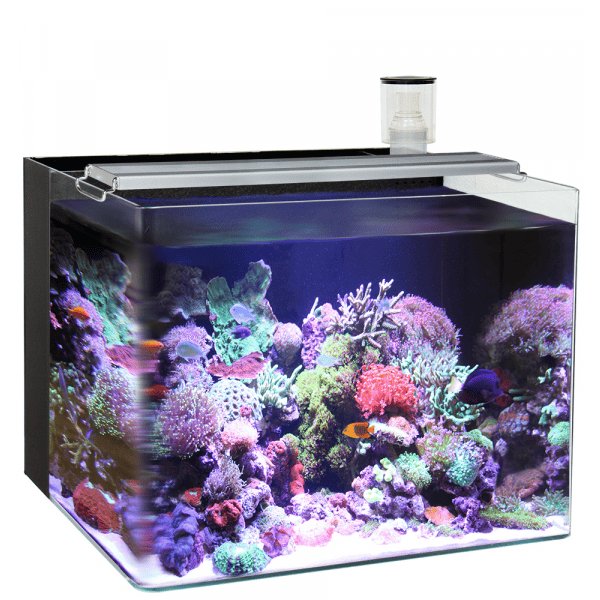 Ocean Free Nano Complete Marine Aquarium Kit 5 96ltr-1