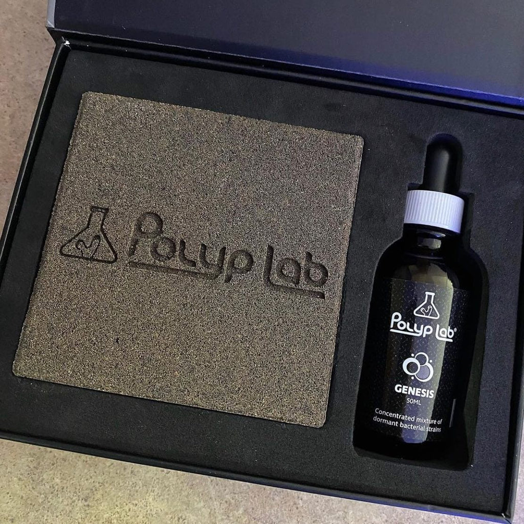Polyplab Genesis Rock Booster Kit-1