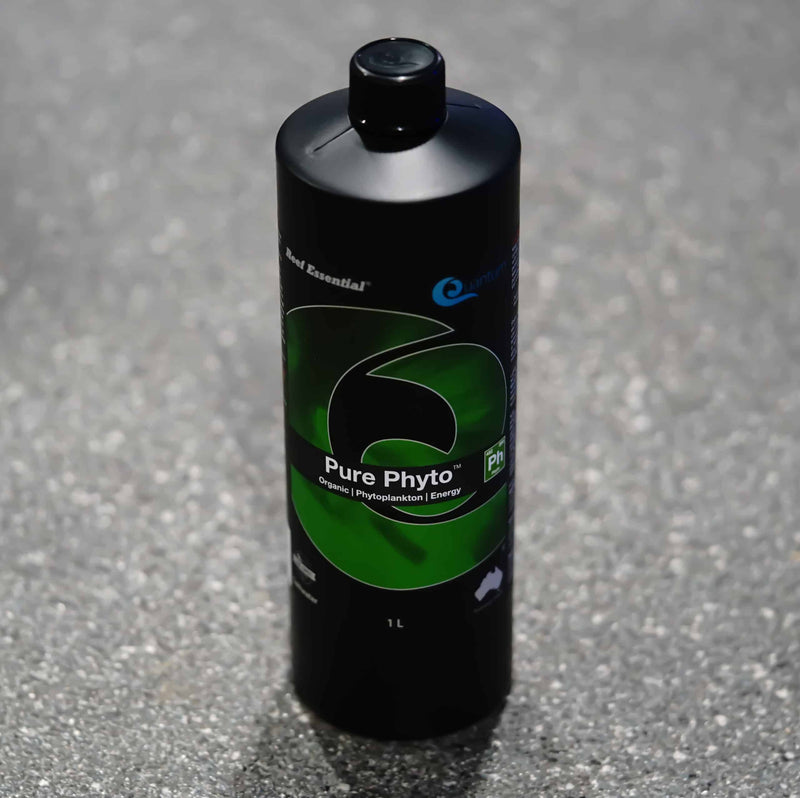 Pure Phyto - 1L-1