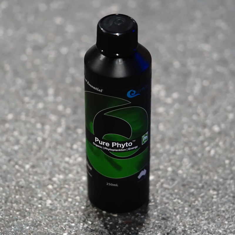 Pure Phyto - 250mL-1