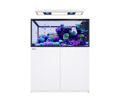 Red Sea REEFER G3 Peninsula Aquarium System 500-7