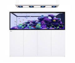 Red Sea REEFER G3 Peninsula Aquarium System S-950-7