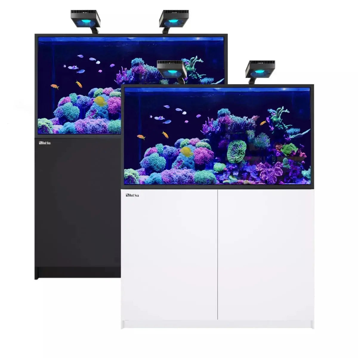 Red Sea Reefer Max S-550-2