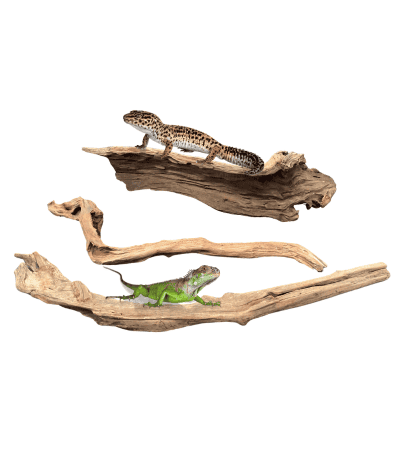 Dymax Reptile Log Driftwood - Small-2