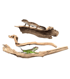 Dymax Reptile Log Driftwood - Small-2