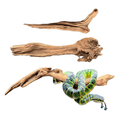 DYMAX REPTILE LOG – MEDIUM-1