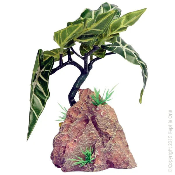 Reptile One Alocasia With Resin Base 12X13X20Cm-1