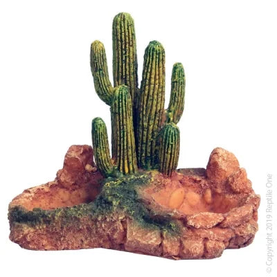 Reptile One Cactus Garden With Resin Base Small 12X12X14Cm-1