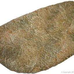 Reptile One Dyno Rock Climbing Ledge - Small 24.5X13X6Cm