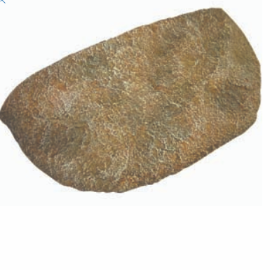 Reptile One Dyno Rock Climbing Ledge - Small 24.5X13X6Cm-1