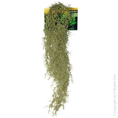 Reptile One Hanging Spanish Moss Grey 40Cm-1