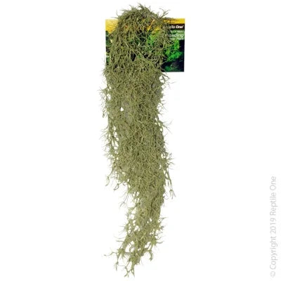 Reptile One Hanging Spanish Moss Grey 40Cm