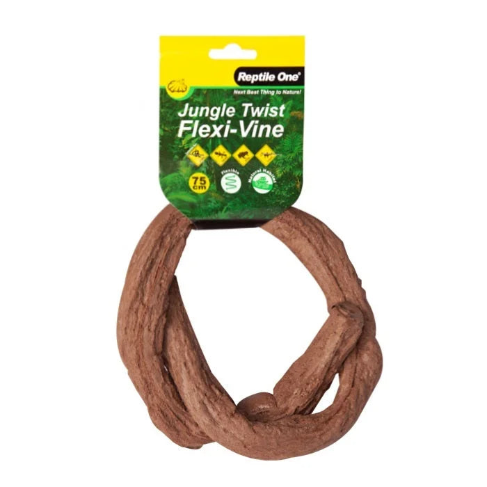 Reptile One Plant Reptile Flexi Vine Jungle Twist Rattan Palm 75Cm