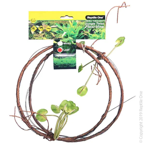 Reptile One Plant Reptile Vine Jungle Twist Leaf 1.5M-1