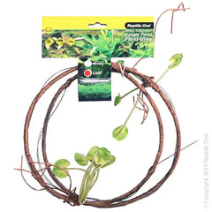 Reptile One Plant Reptile Vine Jungle Twist Leaf 1.5M-1