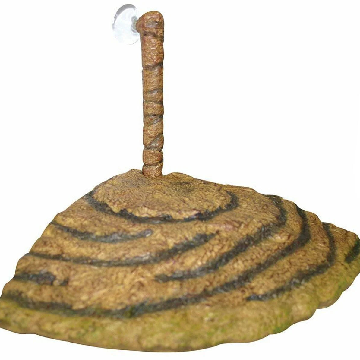 Reptile One Reptile-A-Float Floating Landing Corner Fit 24X24Cm-2