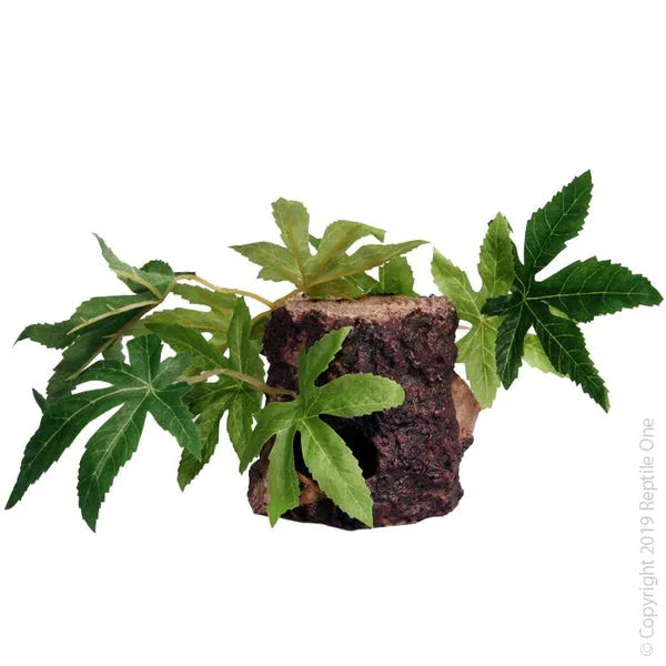 Reptile One Sativa On Resin Log 10X10X9Cm