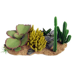 Reptile One Succulent Garden With Resin Base 30X16.5X17.5Cm-1